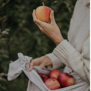 九色成人91蝌蚪在线免费视频
