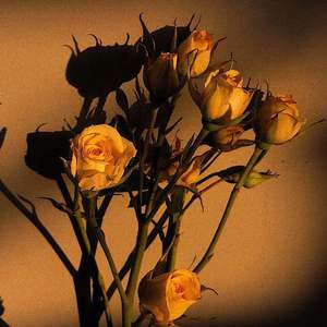 亚洲综合图片网
